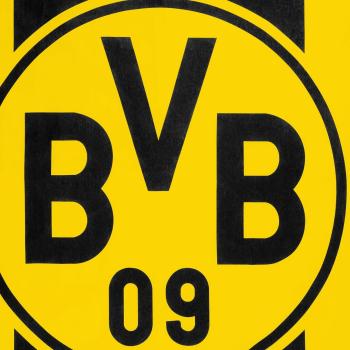 Borussia Dortmund BVB Bettwäsche Blockstreifen 135 x 200 cm